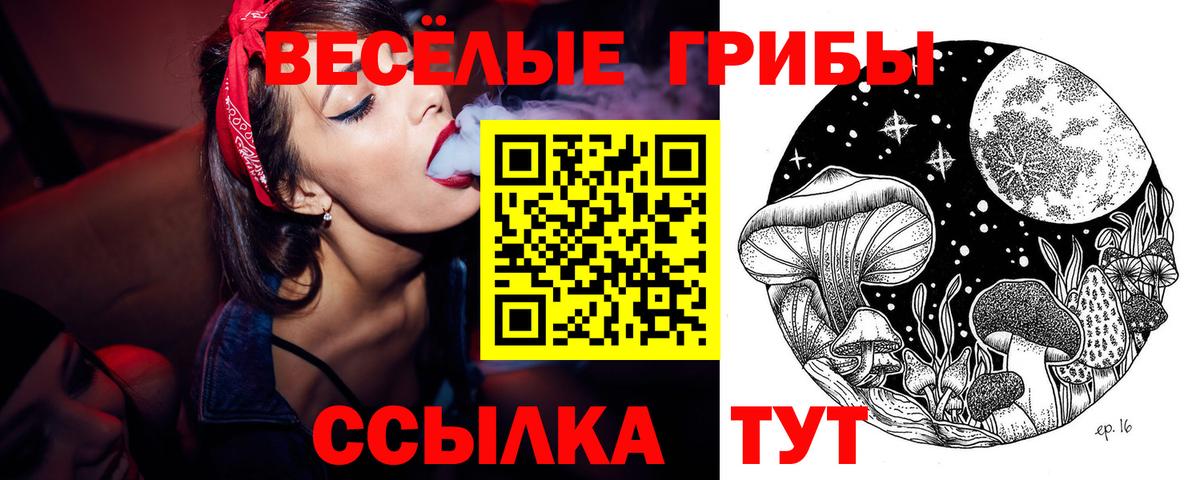 Псилоцибиновые грибы прущие грибы  Вход с VPN  Шадринск 