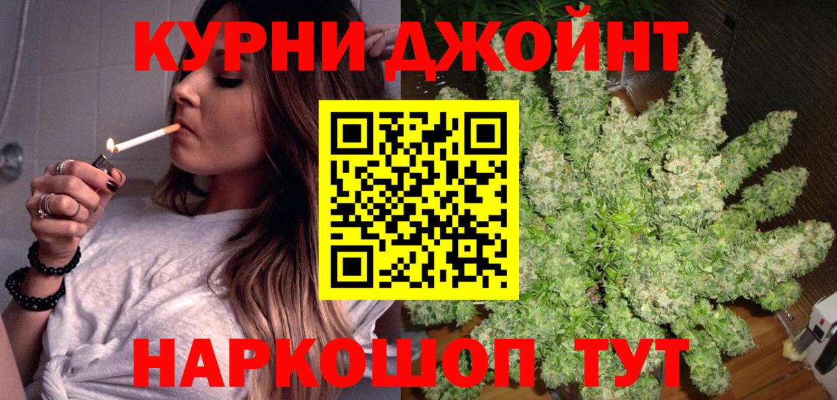 Конопля гибрид Шадринск